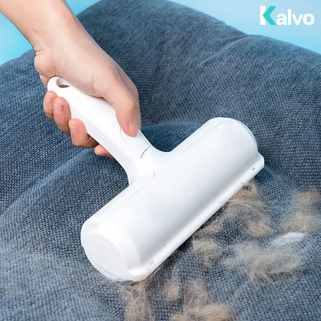Rouleau Attrape-Poils Réutilisable – Rapide Et Écologique