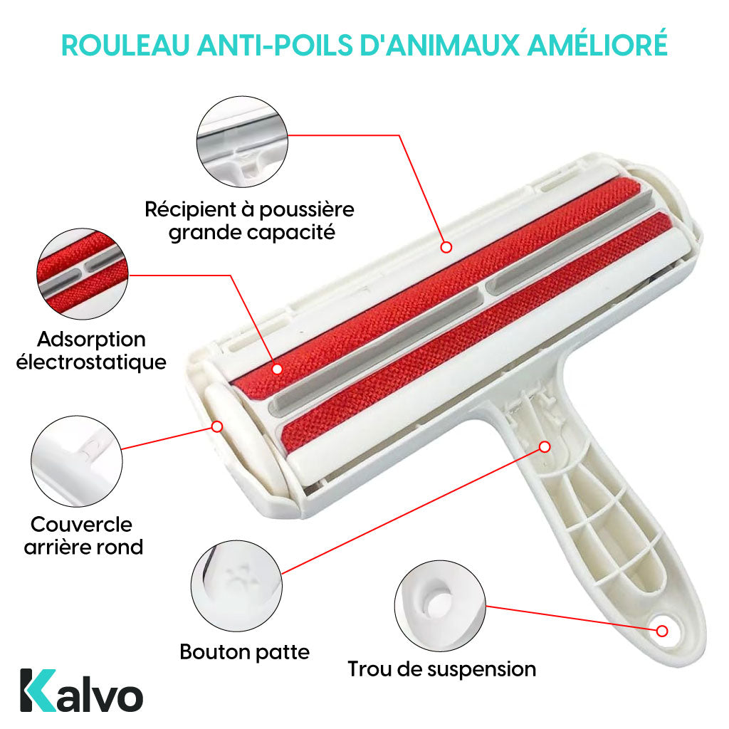 Rouleau Attrape-Poils Réutilisable – Rapide Et Écologique