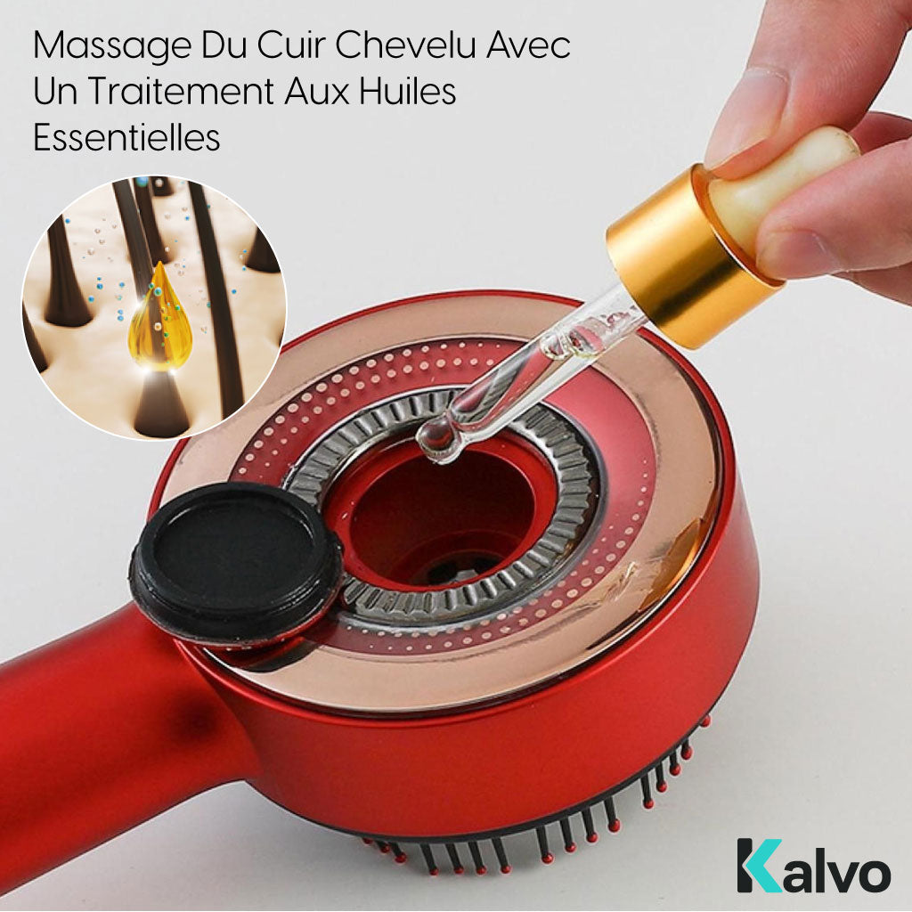 Sèche-Cheveux Intelligent à Technologie Ionique